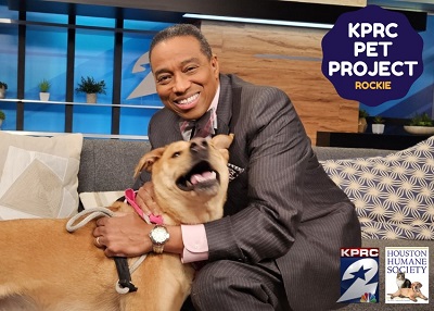 Houston Humane Society | Rockie