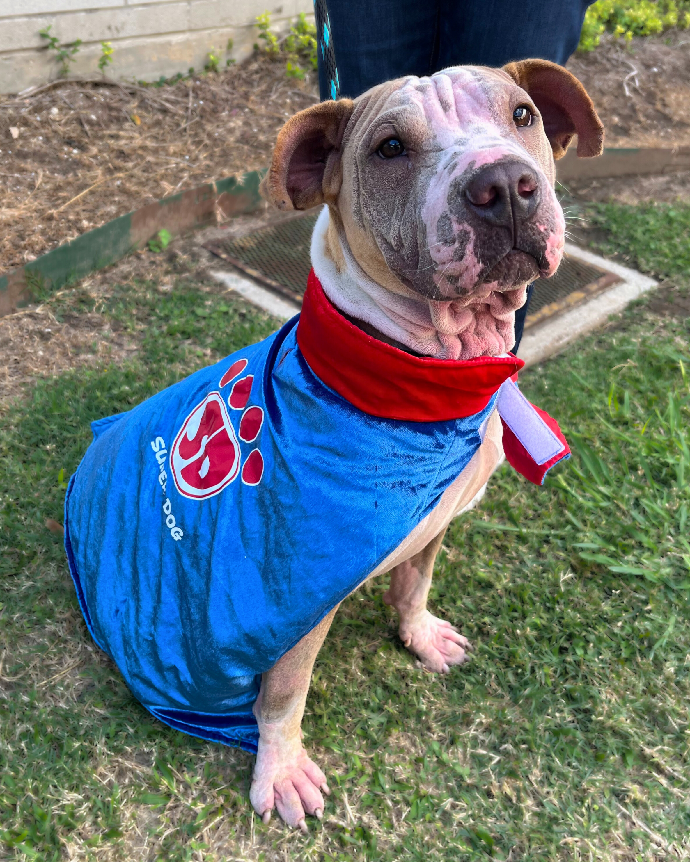 rudie-halloween-edited