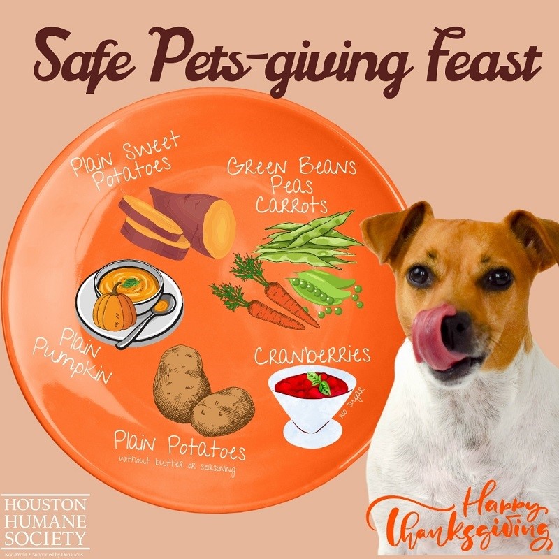 safethanksgiving