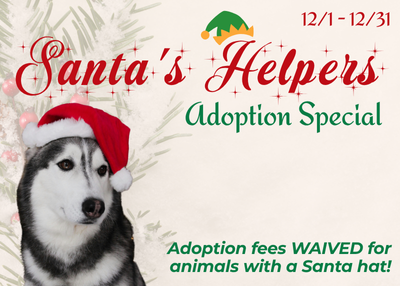 Houston Humane Society | Santa's Helpers Adoption Special