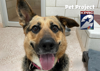 Houston Humane Society | Sara