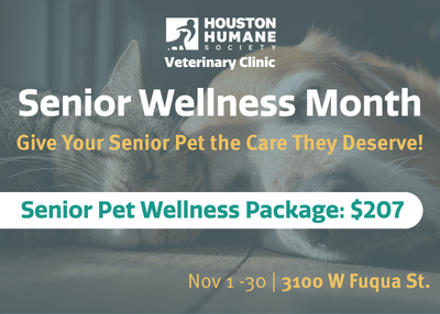 Houston Humane Society | November Clinic Special