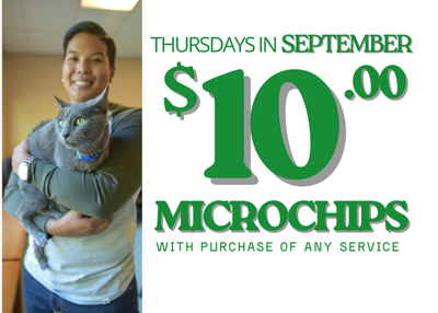 Houston Humane Society | September Clinic Special 