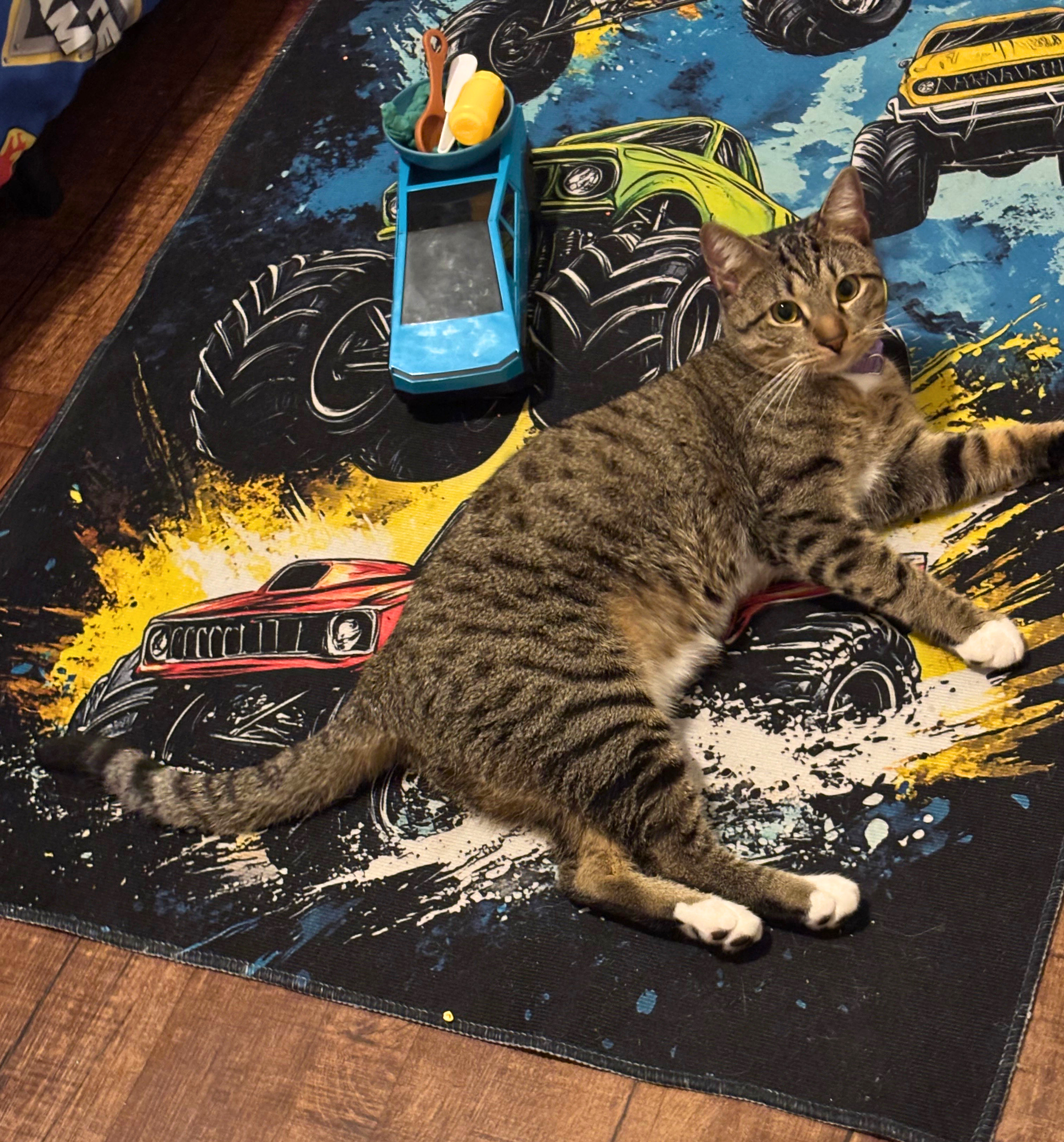 simba-at-home-5-edited