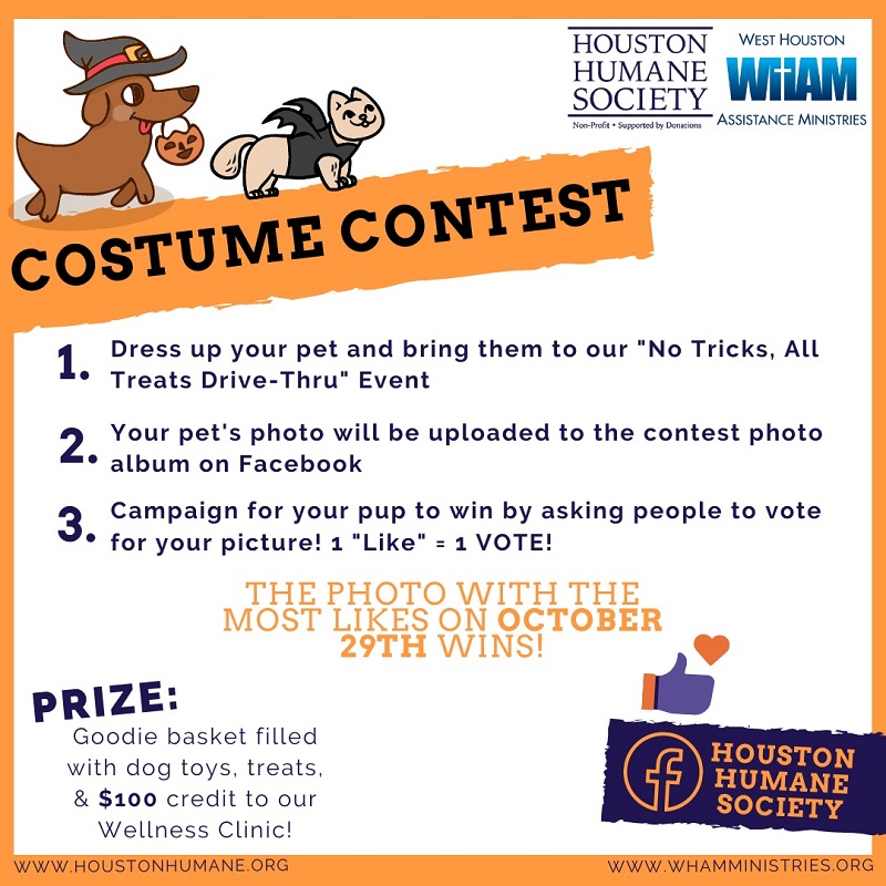 sm-post-wham--hhs-costume-contest