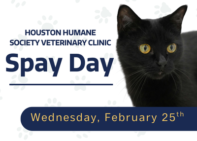 Houston Humane Society | Spay Day