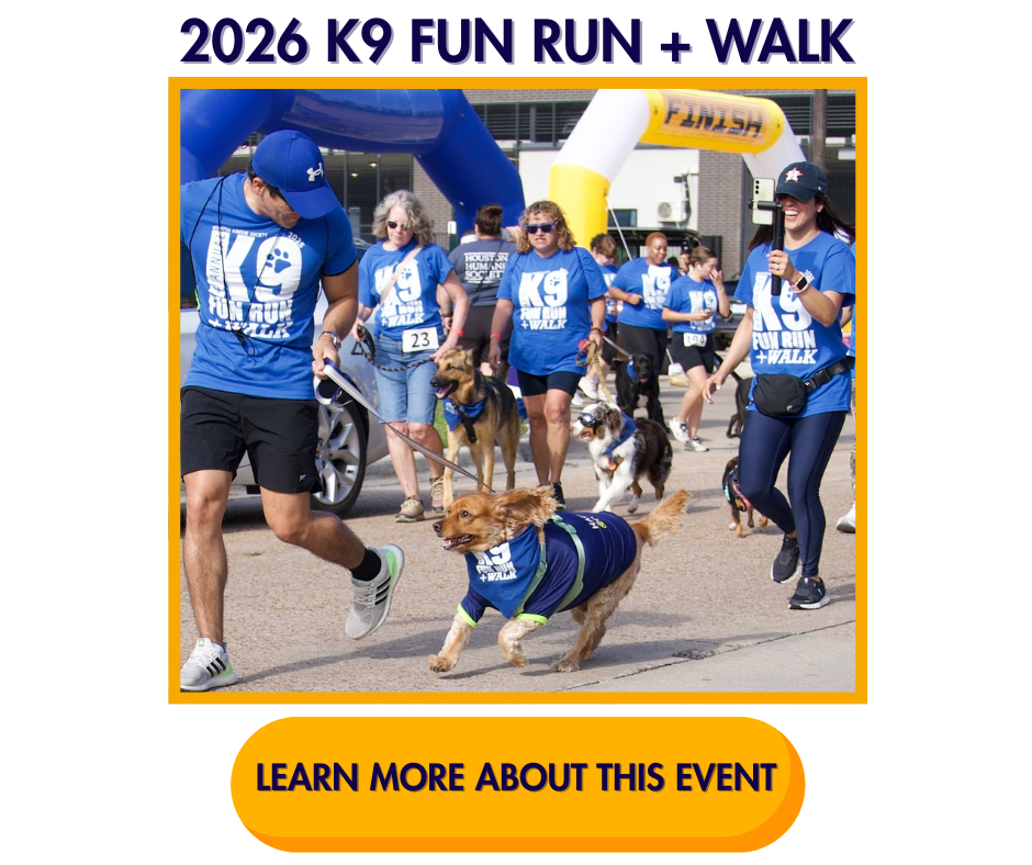 sponsoring-fundraising-events-page-k9-fun-run