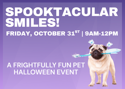 Houston Humane Society | Spooktacular Smiles!