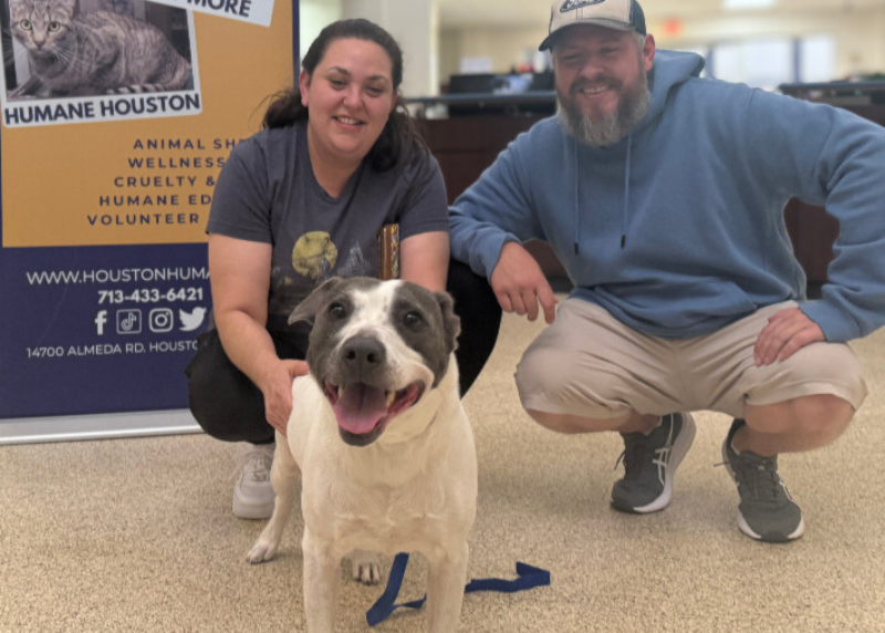 Houston Humane Society | Stitch's Happy Tail