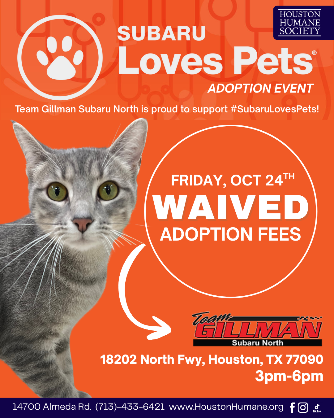 subaru-adoption-event-ig-post