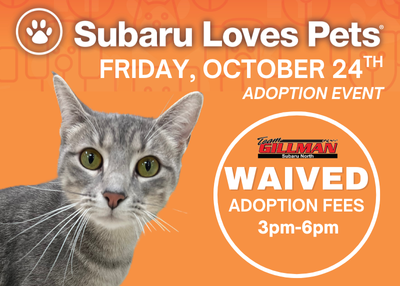 Houston Humane Society | Subaru Loves Pets Adoption Event