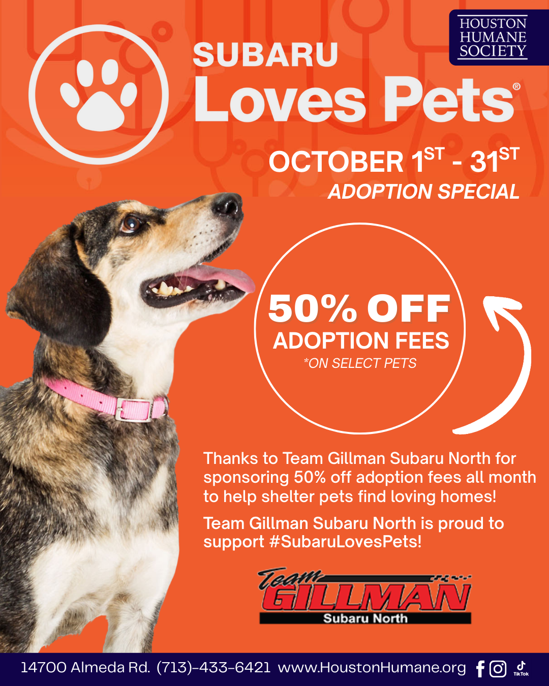 subaru-adoption-ig-post