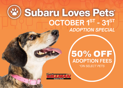 Houston Humane Society | Subaru Loves Pets Adoption Special