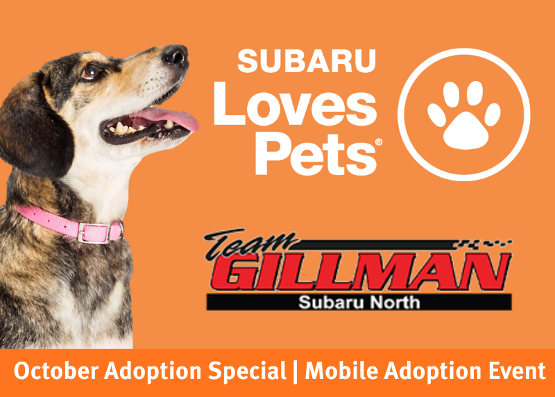 Houston Humane Society | Subaru Loves Pets: Adoption Event