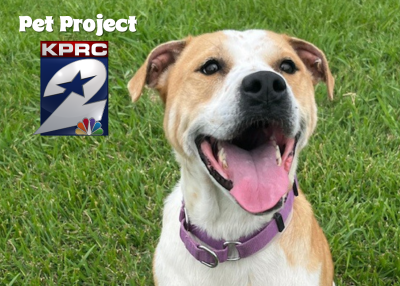 Houston Humane Society | Sutherland