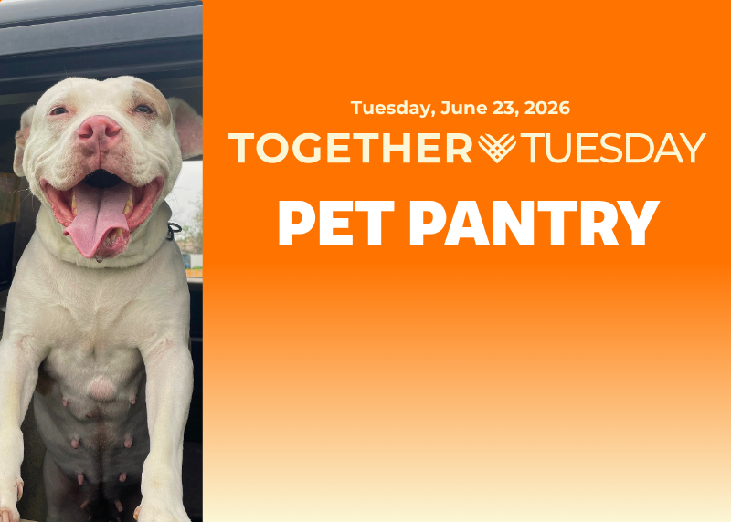Houston Humane Society | Pet Pantry @ BARC