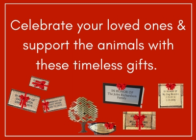 tribute-gifts-website-graphic