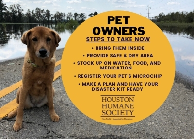 Houston Humane Society | Tropical Storm Nicholas Updates