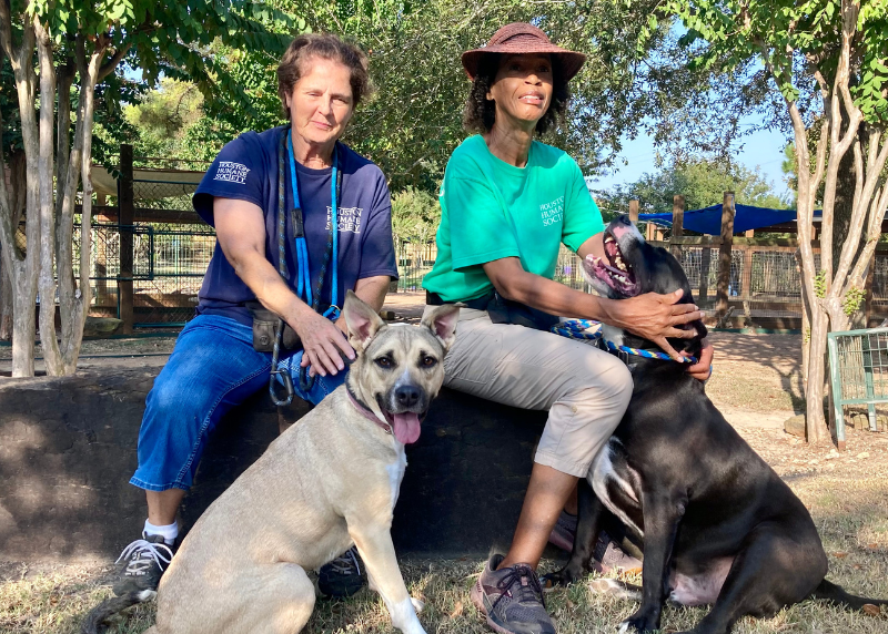 Houston Humane Society | Unsung Heroes