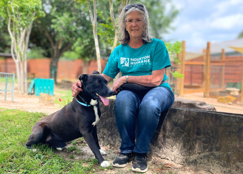 Houston Humane Society | The Gift of Compassion: Giving Back This Holiday Season