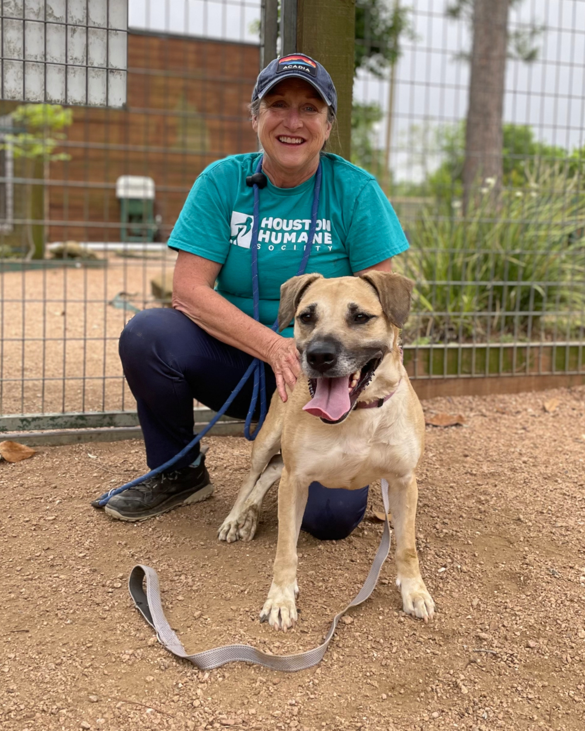 Brenda, a Houston Humane Society volunteer, kneeling next to a shelter dog outdoors.