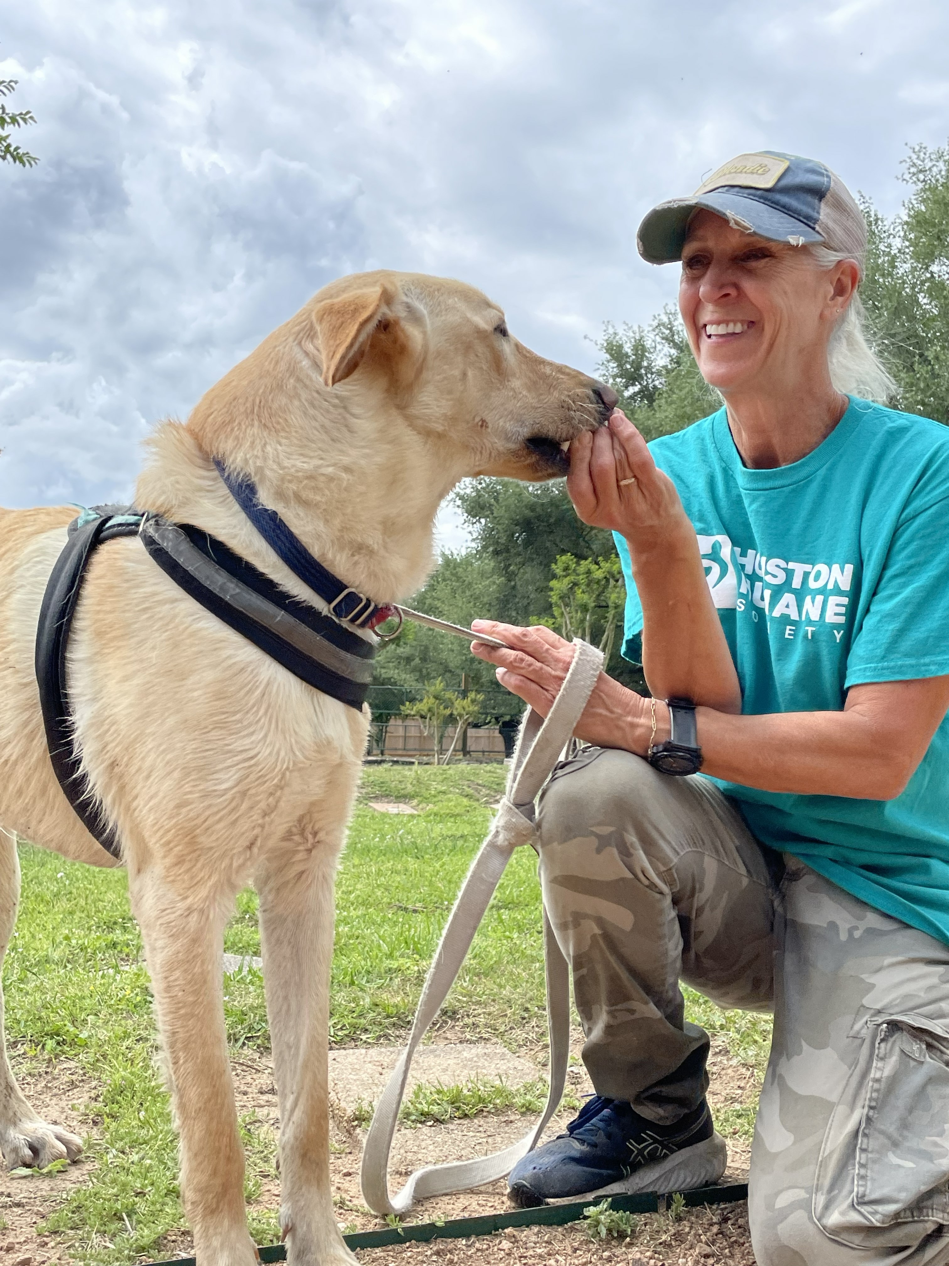 volunteer-dawn-2