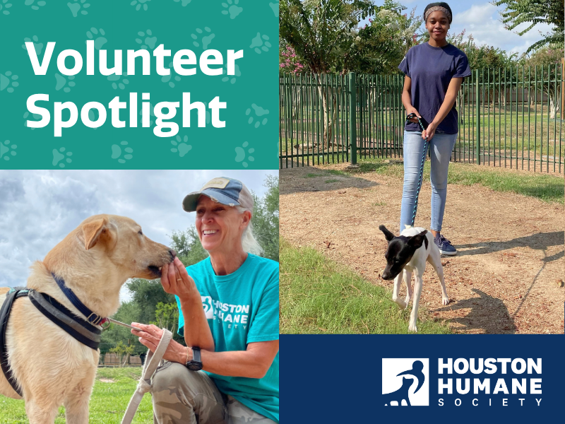 Houston Humane Society | Volunteer Spotlight: Meet Dawn and Jasmine