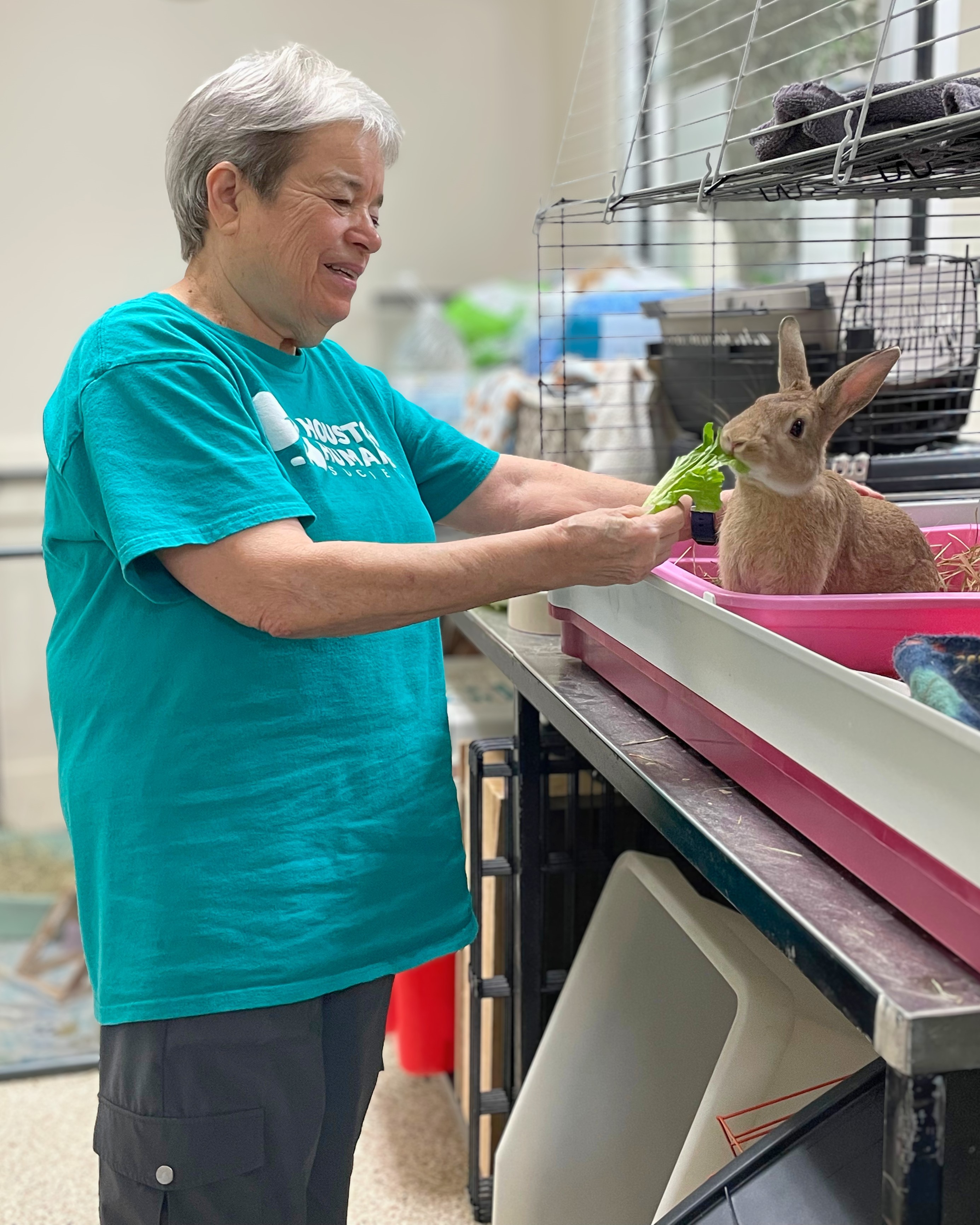 volunteer-diana-2