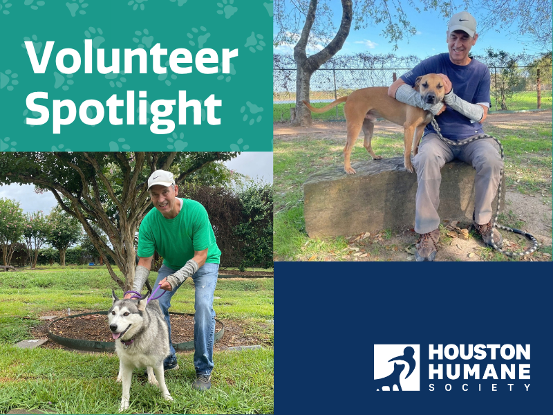 Houston Humane Society | Volunteer Spotlight: Meet Kent