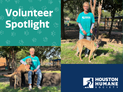 Houston Humane Society | Volunteer Spotlight: Meet Linda