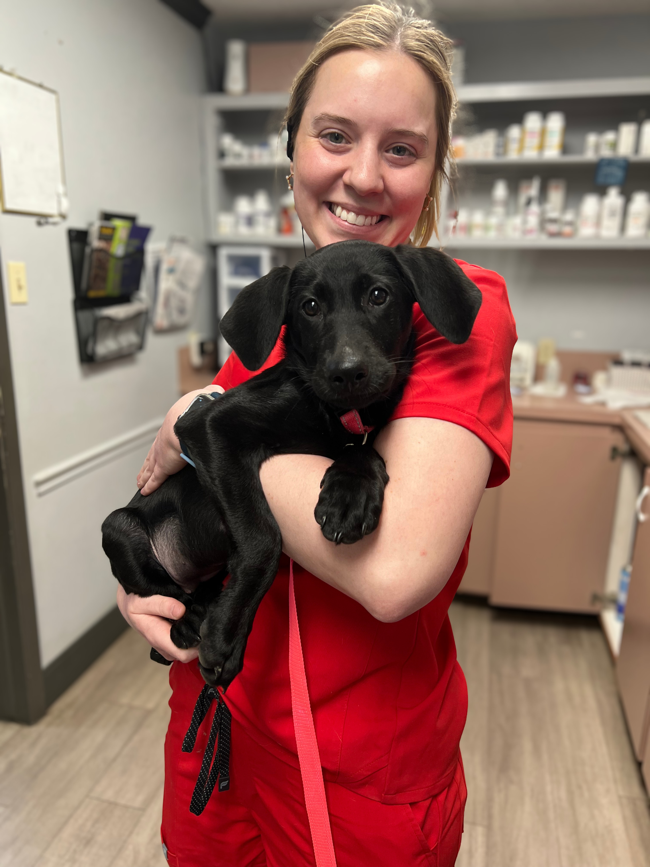 A smiling woman in red scrubs holding a large black puppy