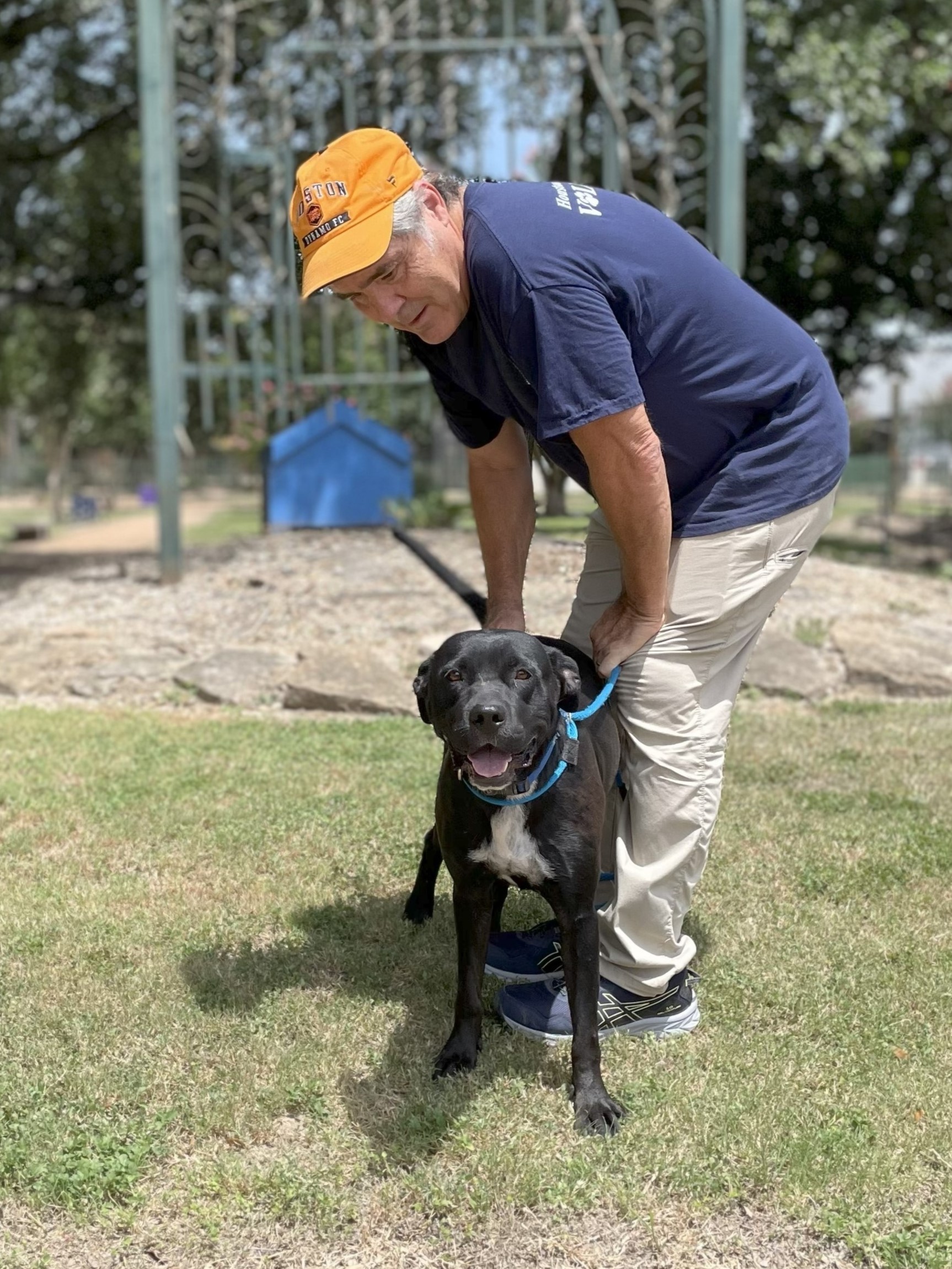 A man and black adult dog outside. The dog is looking at the camera with his tail up. The man is smiling, crouching over him.