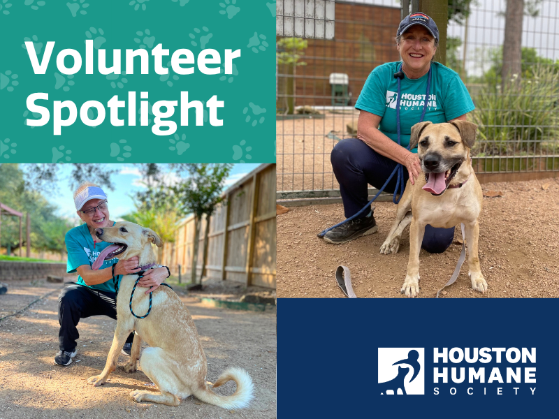 Houston Humane Society | Volunteer Spotlight: Meet Brenda and Gene