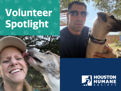 Houston Humane Society | Volunteer Spotlight: Meet Cheryl & PJ