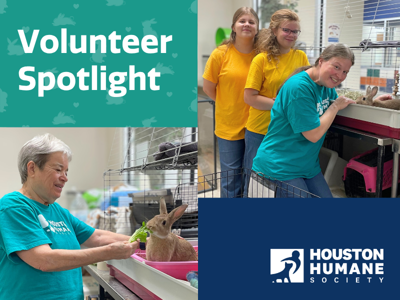 Houston Humane Society | Volunteer Spotlight: Meet Diana and Melinda