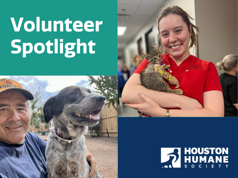 Houston Humane Society | Volunteer Spotlight: Meet Ron & Rebecca