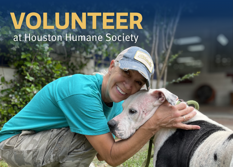 Houston Humane Society | How You Can Volunteer for Houston Humane's Animal Shelter