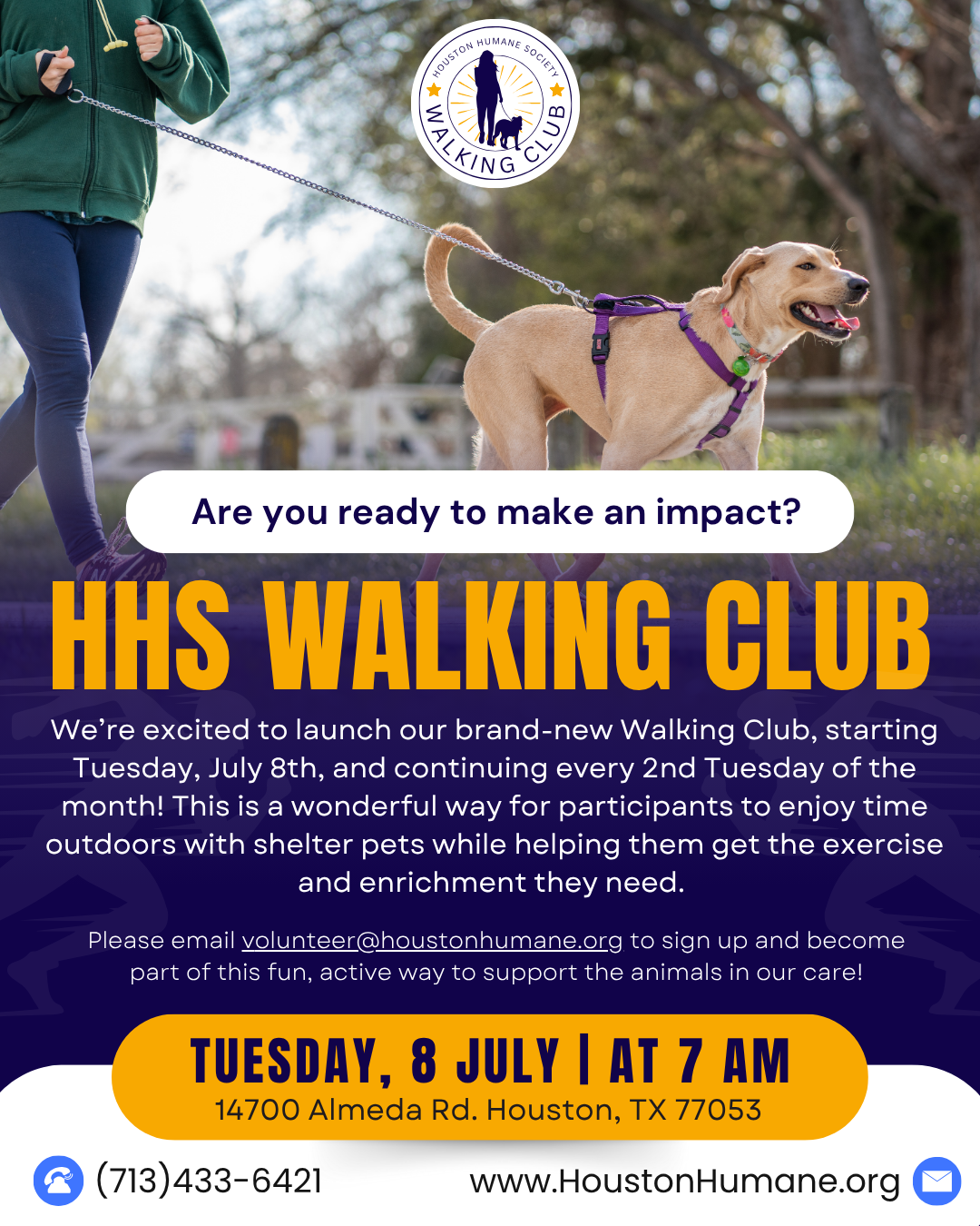 walking-club-launch-flyer