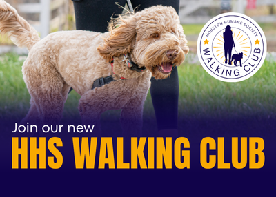 Houston Humane Society | Walking Club