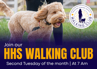 Houston Humane Society | Walking Club