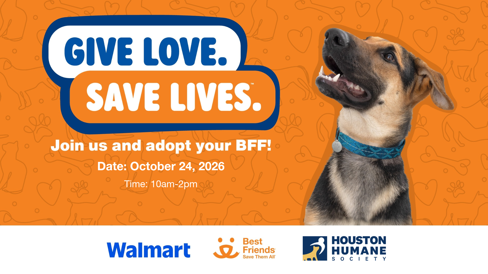 Houston Humane Society | Best Friends + Walmart Adoption Event