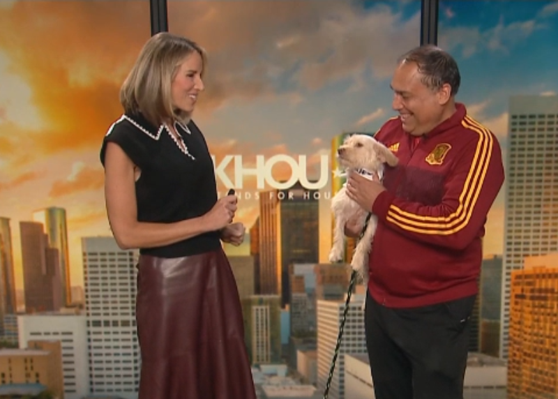 Houston Humane Society | Houston Humane Society to Host "Walking Club: Soccer Fan Edition"
