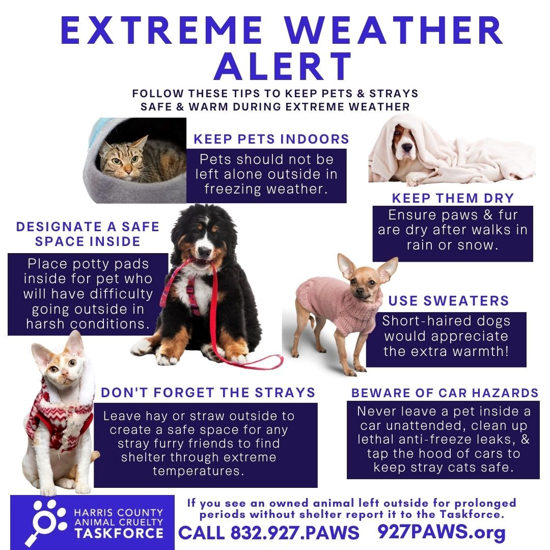 weather-alert