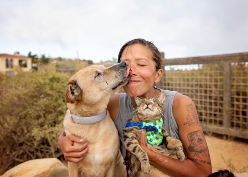 Houston Humane Society | Free Vaccine Event