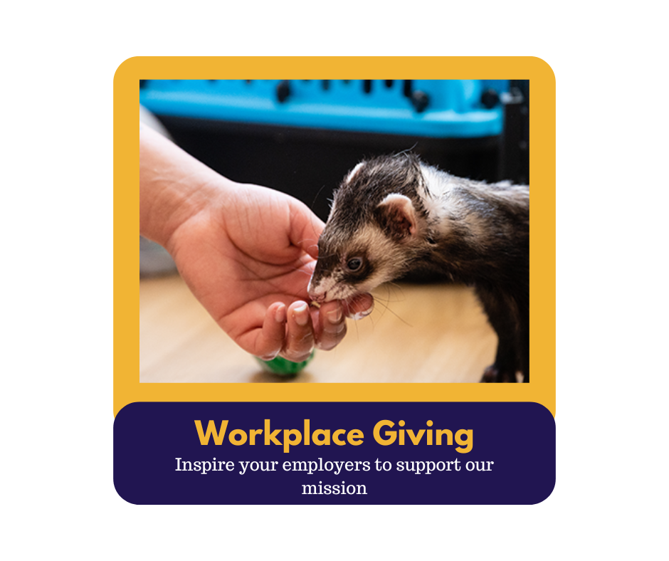 workplace-giving(1)