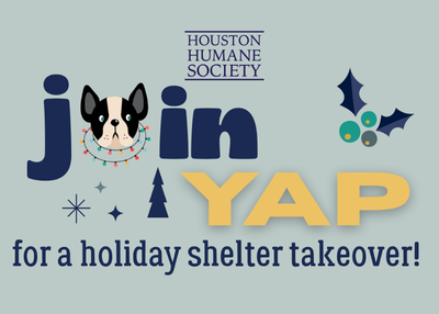 Houston Humane Society | YAP Holiday Takeover