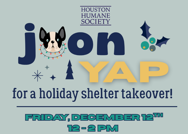 Houston Humane Society | YAP Holiday Takeover